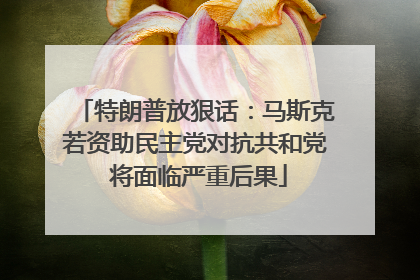 特朗普放狠话：马斯克若资助民主党对抗共和党 将面临严重后果