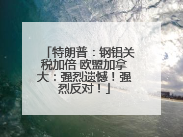 特朗普：钢铝关税加倍 欧盟加拿大：强烈遗憾！强烈反对！