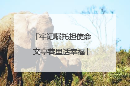 牢记嘱托担使命 文亭巷里话幸福