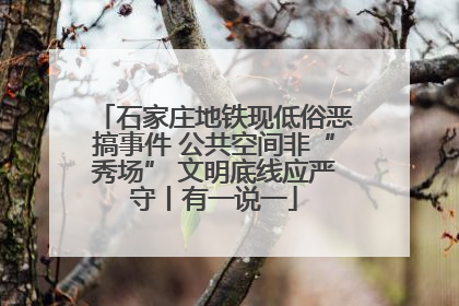 石家庄地铁现低俗恶搞事件 公共空间非“秀场” 文明底线应严守丨有一说一