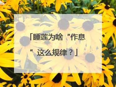 睡莲为啥“作息”这么规律？