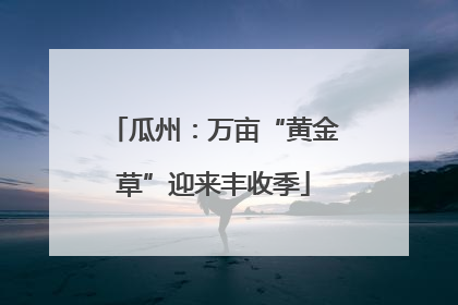 瓜州：万亩“黄金草”迎来丰收季