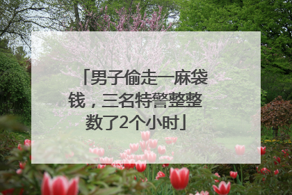 男子偷走一麻袋钱，三名特警整整数了2个小时