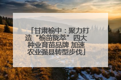 甘肃榆中：聚力打造“榆苗陇萃”四大种业育苗品牌 加速农业强县转型步伐