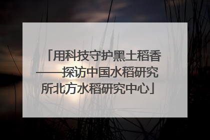用科技守护黑土稻香——探访中国水稻研究所北方水稻研究中心