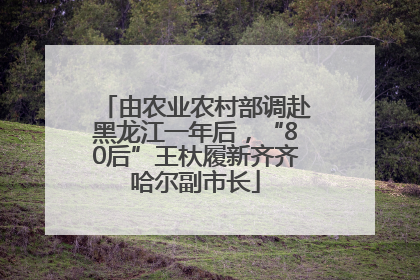 由农业农村部调赴黑龙江一年后，“80后”王杕履新齐齐哈尔副市长