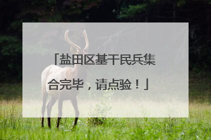 盐田区基干民兵集合完毕，请点验！
