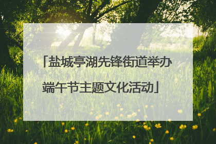 盐城亭湖先锋街道举办端午节主题文化活动