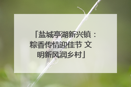 盐城亭湖新兴镇：粽香传情迎佳节 文明新风润乡村