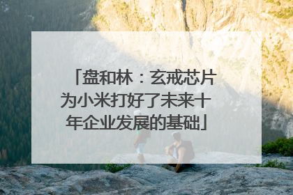 盘和林：玄戒芯片为小米打好了未来十年企业发展的基础