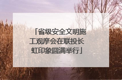 省级安全文明施工观摩会在联投长虹印象圆满举行