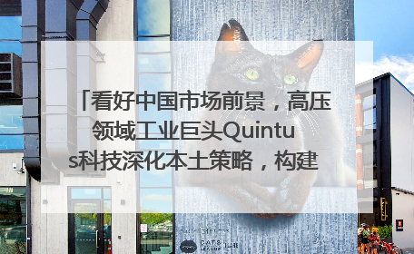 看好中国市场前景，高压领域工业巨头Quintus科技深化本土策略，构建全方位服务亚太区总部