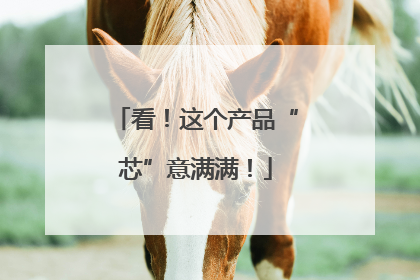 看！这个产品“芯”意满满！