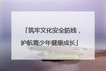 筑牢文化安全防线，护航青少年健康成长