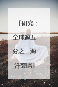 研究：全球逾五分之一海洋变暗