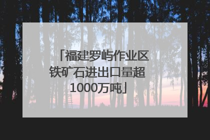 福建罗屿作业区铁矿石进出口量超1000万吨