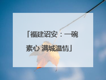 福建诏安：一碗素心 满城温情