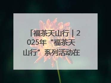 福茶天山行｜2025年“福茶天山行”系列活动在昌吉州启动