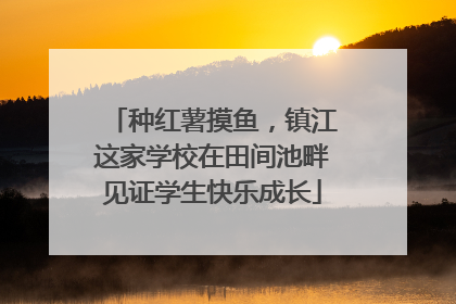 种红薯摸鱼，镇江这家学校在田间池畔见证学生快乐成长