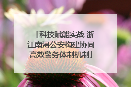科技赋能实战 浙江南浔公安构建协同高效警务体制机制