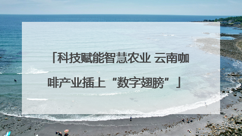 科技赋能智慧农业 云南咖啡产业插上“数字翅膀”