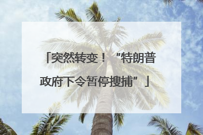 突然转变！“特朗普政府下令暂停搜捕”