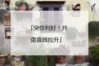 突传利好！开盘直线拉升