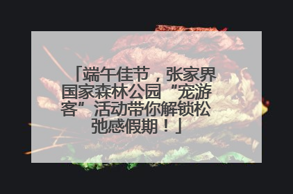 端午佳节，张家界国家森林公园“宠游客”活动带你解锁松弛感假期！