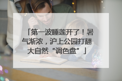 第一波睡莲开了！暑气渐浓，沪上公园打翻大自然“调色盘”