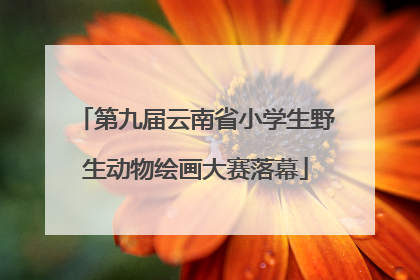 第九届云南省小学生野生动物绘画大赛落幕