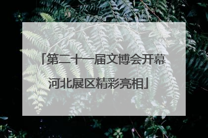 第二十一届文博会开幕 河北展区精彩亮相