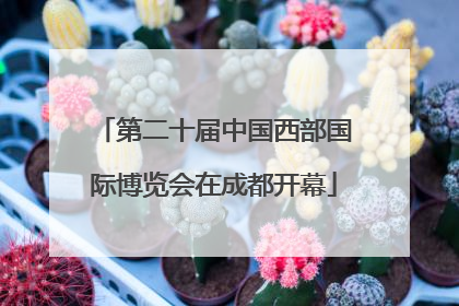 第二十届中国西部国际博览会在成都开幕