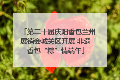 第二十届庆阳香包兰州展销会城关区开展 非遗香包“粽”情端午
