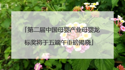 第二届中国母婴产业母婴龙标奖将于五端午重磅揭晓