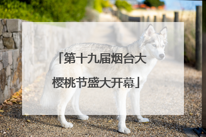 第十九届烟台大樱桃节盛大开幕