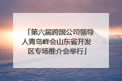 第六届跨国公司领导人青岛峰会山东省开发区专场推介会举行
