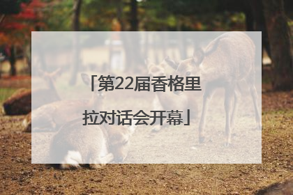第22届香格里拉对话会开幕