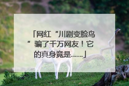 网红“川剧变脸鸟”骗了千万网友！它的真身竟是……