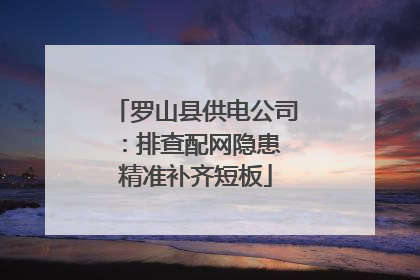 罗山县供电公司：排查配网隐患 精准补齐短板