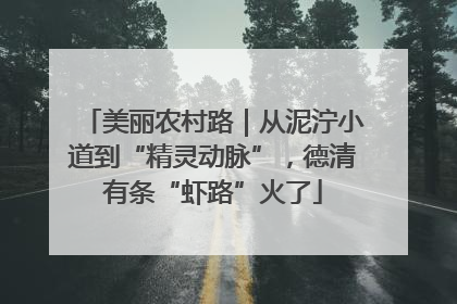 美丽农村路｜从泥泞小道到“精灵动脉”，德清有条“虾路”火了
