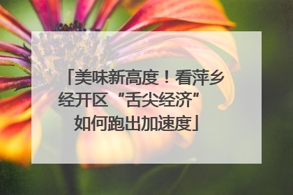美味新高度！看萍乡经开区“舌尖经济” 如何跑出加速度