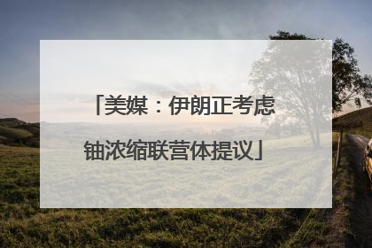 美媒：伊朗正考虑铀浓缩联营体提议