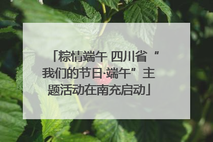 粽情端午 四川省“我们的节日·端午”主题活动在南充启动