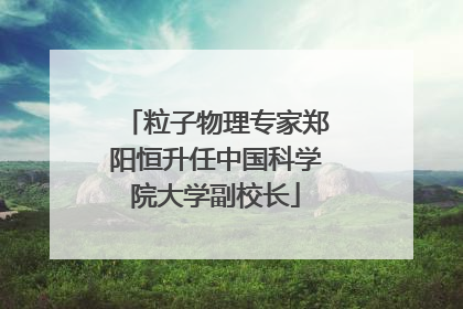 粒子物理专家郑阳恒升任中国科学院大学副校长