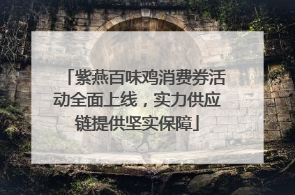 紫燕百味鸡消费券活动全面上线，实力供应链提供坚实保障