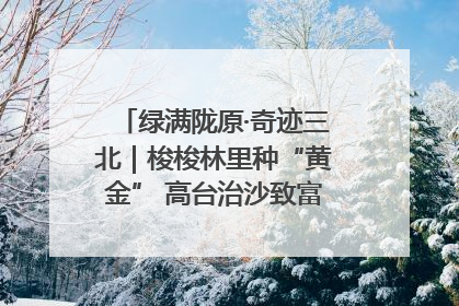 绿满陇原·奇迹三北｜梭梭林里种“黄金” 高台治沙致富很“从容”