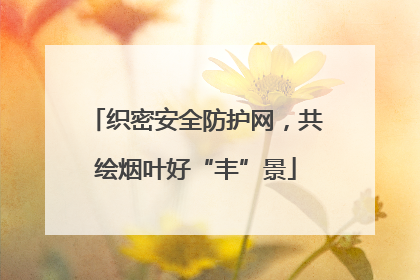 织密安全防护网，共绘烟叶好“丰”景