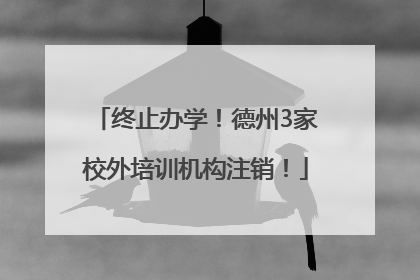 终止办学！德州3家校外培训机构注销！
