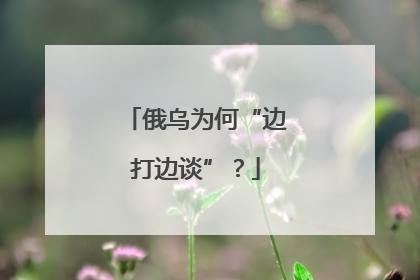 俄乌为何“边打边谈”？
