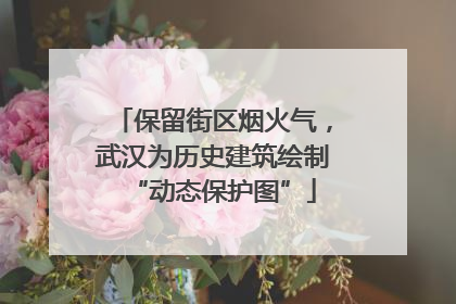 保留街区烟火气，武汉为历史建筑绘制“动态保护图”